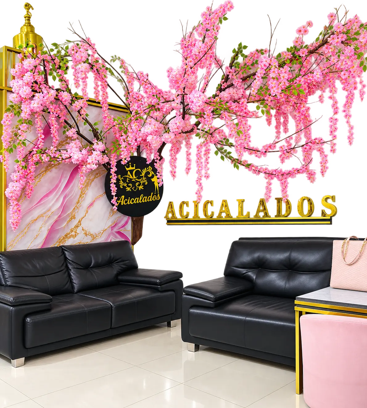 Spa Acicalados